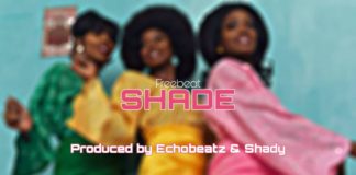 Download Freebeat: SHADE – Oxlade x Olamide Type Beat (Prod by Echobeatz & Shady)