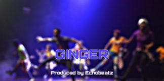 Download Freebeat: Ginger – Naira Marley x Mohbad Type Beat (Prod by Echobeatz)