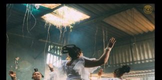 Download Instrumental: Zlatan – Alubarika Ft. Buju (Beat By MSG)