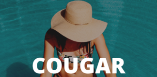 Download Freebeat: Cougar – Ruger x Burna Boy x Davido Type Beat (Prod By Tite Tunez)