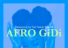 Download Freebeat: Afro Gidi – Buju x Burna Boy type beat (Prod by Don Dizy)