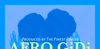 Download Freebeat: Afro Gidi – Buju x Burna Boy type beat (Prod by Don Dizy)