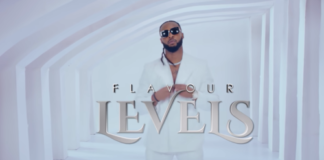 Download Instrumental: Flavour – Levels (Beat By Legend)