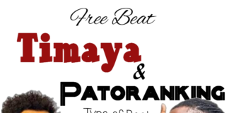 Download Freebeat: Patoranking x Timaya Type Beat (Prod by ThankG)