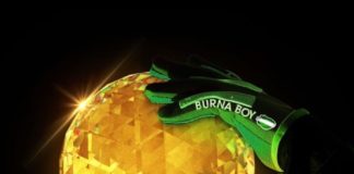 Download Instrumental: Burna Boy ft Wizkid – B. D’OR (Prod by Don Dizy)