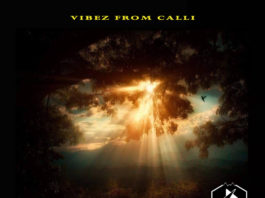 Download Album – (Vibez From Calli Instrumental Album) (Prod by Dstormbeatz)