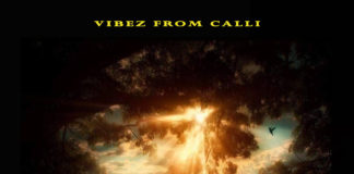 Download Album – (Vibez From Calli Instrumental Album) (Prod by Dstormbeatz)
