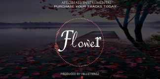 Download Freebeat: Flower – Simi x Dremo Type Beat (Beat By Hillstringz)