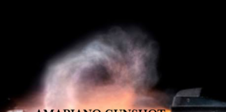 Download Freebeat: Amapiano Gunshot – Burna Boy Type Beat (Prod by Don Dizy)