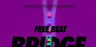 Freebeat : Bridge Prod. by Krimbeatz – Wande Coal Type beat 2022