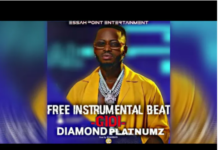 Download Instrumental: Diamond Platnumz – Gidi (Beat By Essah Beatz)