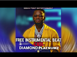 Download Instrumental: Diamond Platnumz – Gidi (Beat By Essah Beatz)