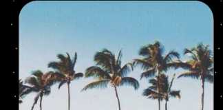 Download Freebeat: vibes on vibes – Tems x Dremo Type Beat (Prod by Delsbeat)