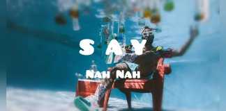 Download Freebeat: Say Nah Nah – Wizkid Type Beat (Prod by Delsbeat)