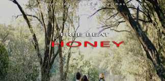 Download Freebeat: Honey – Burna Boy x Wizkid Type Beat (Prod by Dstormbeatz)