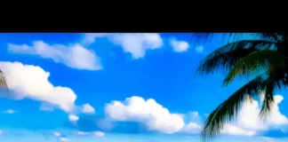 Download Freebeat: Jamaican Calypso – Damian Marley Type Beat (Prod by Don Dizy)