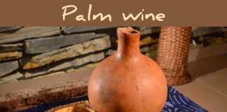 Download Freebeat: Palm Wine – Patoranking Afro Highlife Type Beat (Prod by Mystylez)