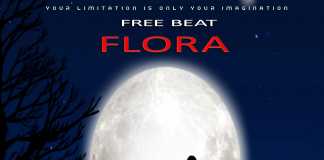 Download Freebeat: – Flora – Wizkid Type Beat (Prod by Dstormbeatz)