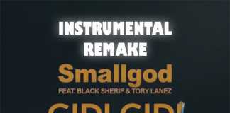 Download Instrumental – Smallgod ft Black Sherif X Tory Lanez – Gidi Gidi (Prod By Bazestop)
