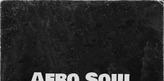 Download Freebeat: – Afrosoul – Adekunle Gold Type Beat (Prod by Cherrydee)