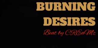 Download Freebeat: – Burning desires – Burna Boy Type Beat (Prod by CREaMz BEaTz)