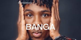 Download Freebeat: Banga – Joeboy Type Beat (Prod By Chrisbeatz)