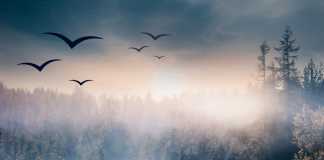 Download Freebeat: – Summer in the rain – Asake Type Beat (Prod by CREaMz BEaTz)