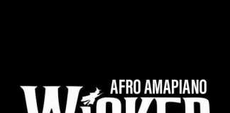 Download Freebeat: – Wicked Afro Amapiano (Episode 1) – Asake Type Beat (Prod by The Finest Finger)
