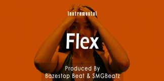 Download Freebeat: – Flex – Wizkid Type Beat (Prod by Bazestop & SMGBeatz)