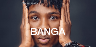 Download Freebeat: – Banga – Joeboy Type Beat (Prod by Chrisbeatz)