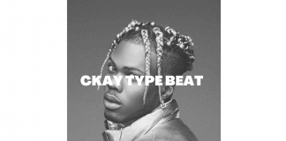 Download Freebeat: – Ckay Type Beat (Prod by Chrisbeatz)