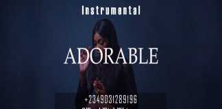 Download Freebeat: Adorable – Burna Boy Type Beat (Prod by Workwithwhimzy)