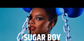 Download Freebeat: Sugar Boy (Beat By evybesmusicworld)