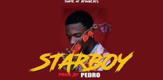 Download Freebeat: – Starboy – Wizkid x Tems Type Beat (Prod by PEDRO)