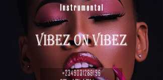 Download Freebeat: Vibez on Vibez – Davido Type Beat (Prod by Workwithwhimzy)