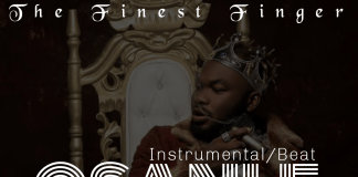 Download Freebeat : Osanle – Davido Typebeat (Produced By The Finest Fingers)