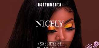 Download Freebeat: Davido x Burnaboy x Runtown Typebeat – Nicely (Produced By Workwithwhimzy)