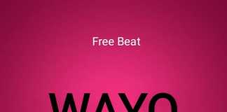 Download Freebeat: Wayo – Rema Ft Crayon Typebeat (Produced By ThankG)