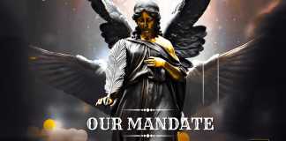 Download Freebeat: Our Mandate – Burna Boy Typebeat (Produced By XL Beatz)
