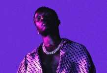 Wizkid – Flower Pads Instrumental Download