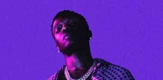 Wizkid – Flower Pads Instrumental Download