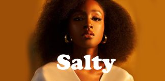 Download Freebeat: – Salty – Rema Type Beat (Prod by Skool Beatz)