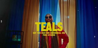 Download Freebeat: – Teals – Kizz Daniel Type Beat (Prod by HitSoundProducer)