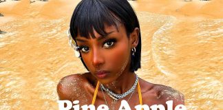 Download Freebeat: – Pine Apple – Asake Beat (Prod by Skool Beatz)
