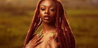 Download Freebeat: – Dilemma – Burna Boy Type Beat (Prod by Skool Beatz)