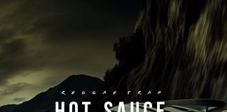 Download Freebeat: – Hot Sauce – Burna Boy Type Beat (Prod by Immadonnie)