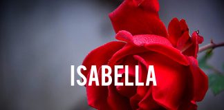 Download Freebeat: – Isabella – Ayra Starr Type Beat (Prod by Beatzbymiz)