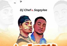 Dj Chef ft Sogzy Lee – Astray