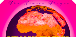 Download Freebeat: African Wonder – Burna Boy Type Beat (Prod by Don Dizy)