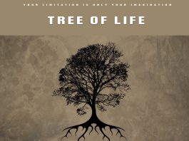 Download Freebeat: “Tree of life” – Fireboy x Young John x Asake x Teni x Seyi Vibez type beat (Prod. by Dstormbeatz) Dstormbeatz_Colos